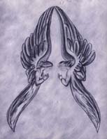 Angels' Prayer Angels' Prayer