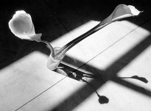 Callas