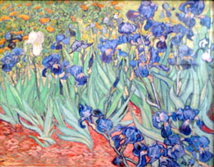"Irises," by Vincent Van Gogh