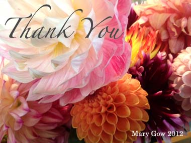 Thank You, photo by Mary Gow
