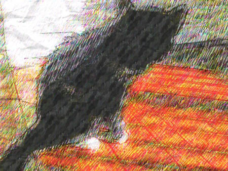 Photographed Shadow, the cat, with the app, "Paper Artist," which offers a variety of expressive options.
