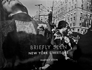 Briefly Seen - a book by Harvey Stein