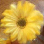 "Blossoming," photo by Mary Gow