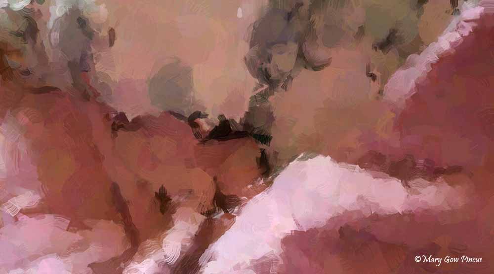 "Lamb", digital photo by Mary Gow Pincus 
